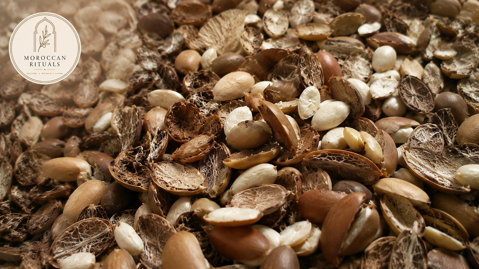 Close-up of cracked argan kernels and shells after extraction, showing the raw material used to produce traditional Moroccan argan oil.